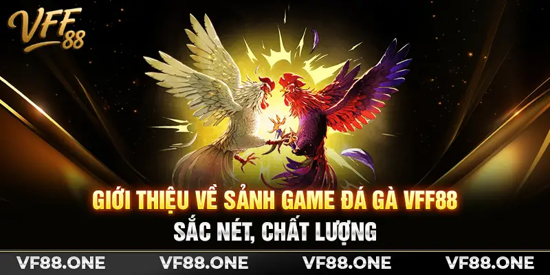Giới thiệu về sảnh game đá gà VFF88 sắc nét, chất lượng