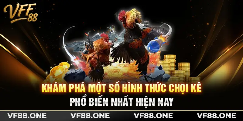 Khám phá một số hình thức chọi kê phổ biến nhất hiện nay